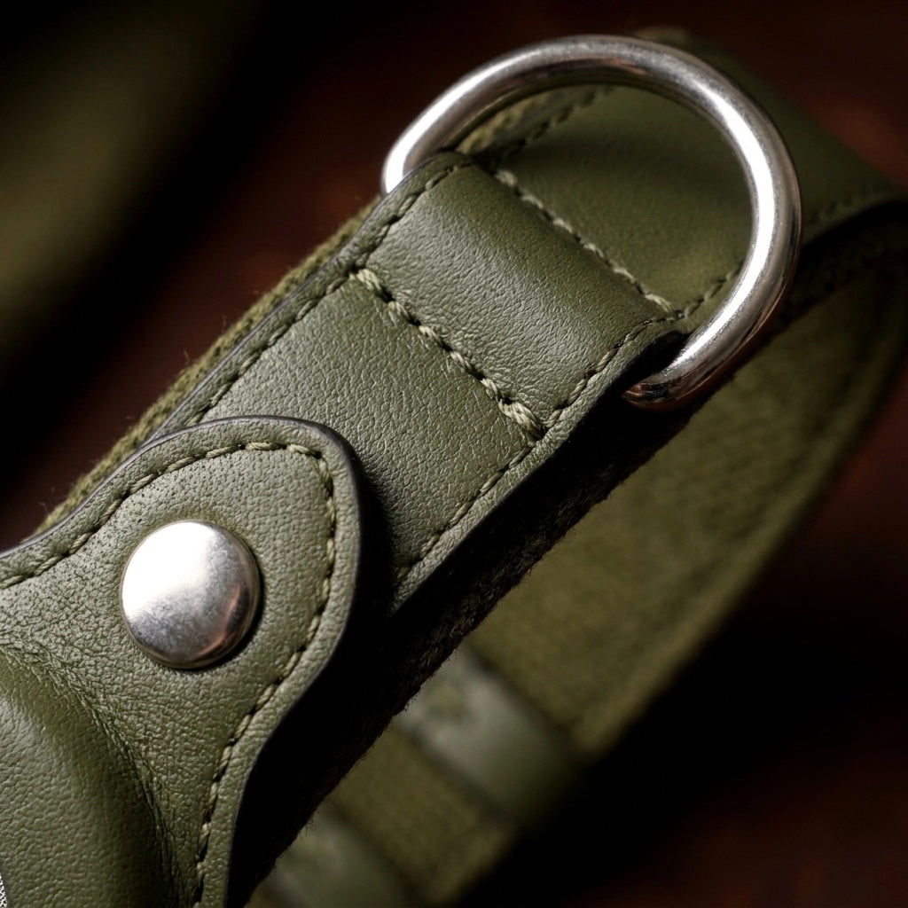 Heavy-duty metal D-ring and reinforced stitching on Midori dog collar