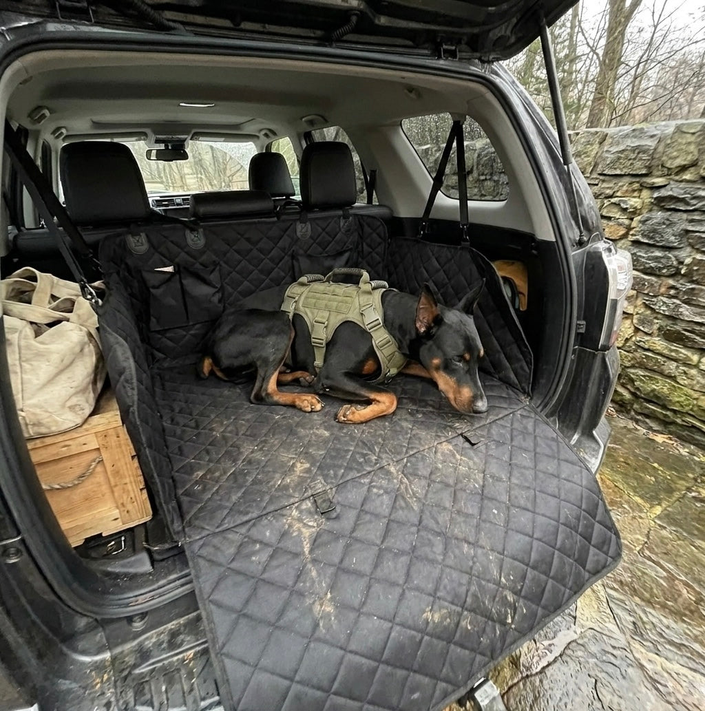 Midori dog seat cover used as a waterproof cargo liner in an SUV trunk after a muddy hike