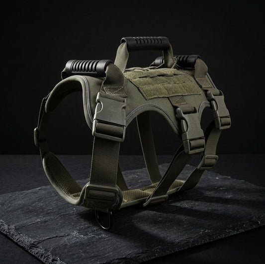 Ranger Green heavy-duty tactical dog harness by Midori Stores for ultimate control